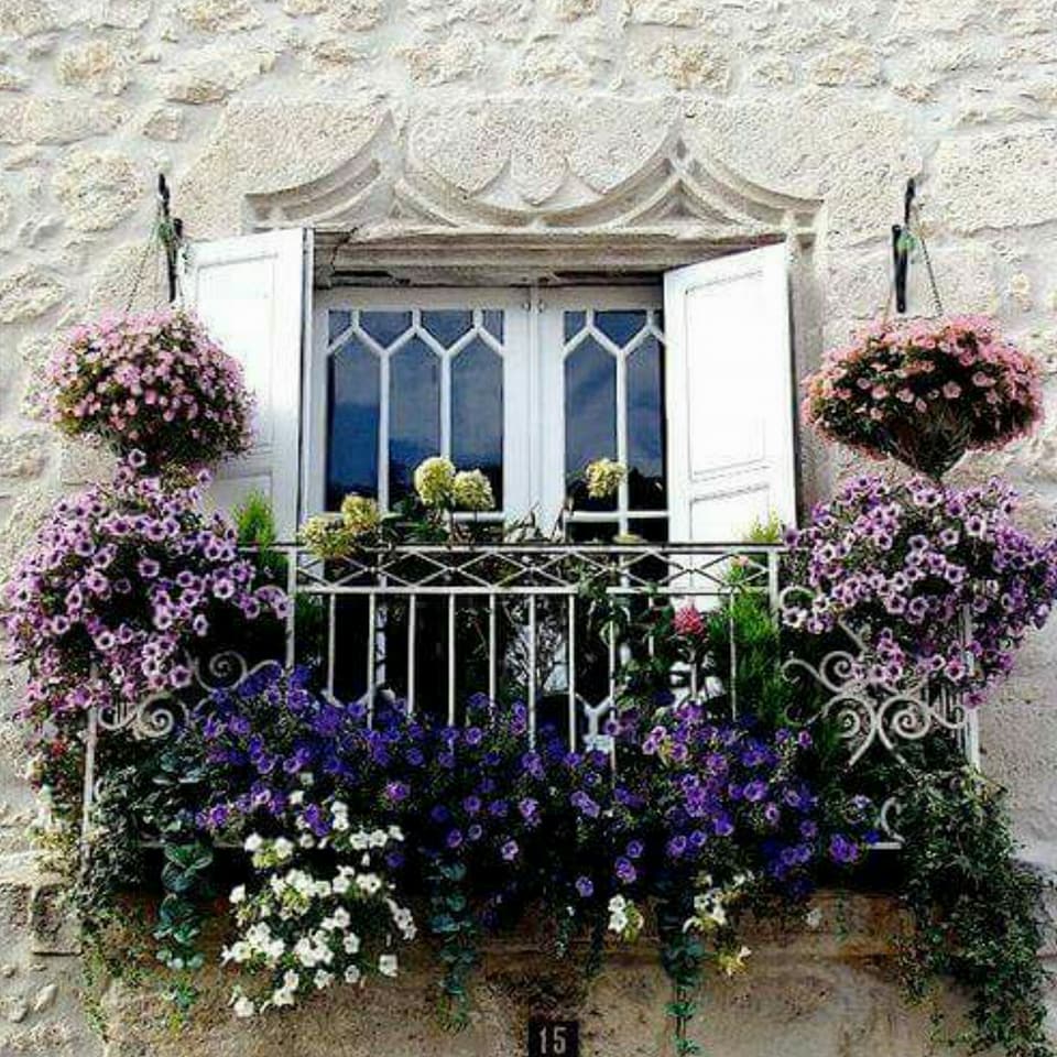  ♥ bntpal.com_152345668