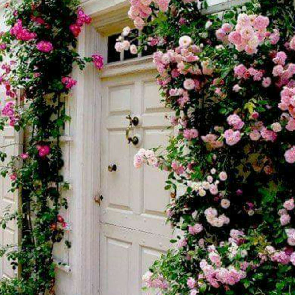  ♥ bntpal.com_152345668