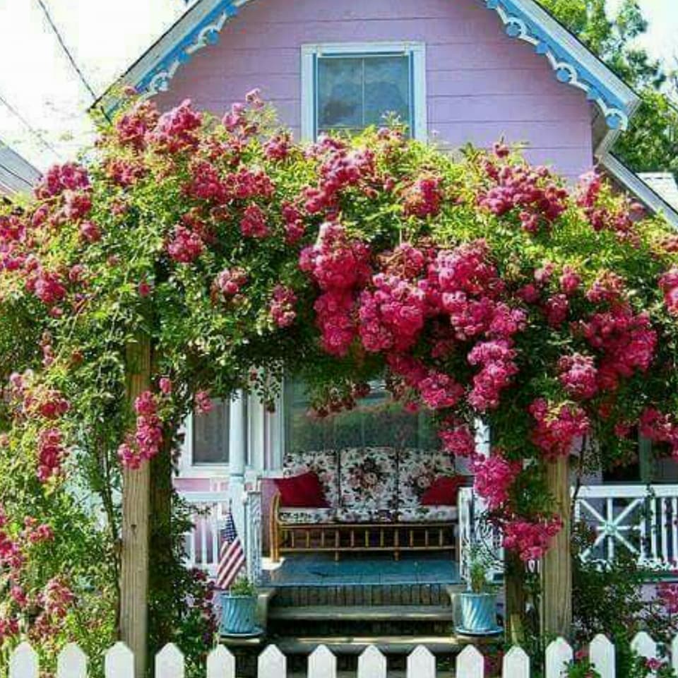  ♥ bntpal.com_152345668