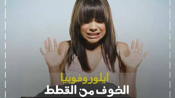   bntpal.com_152345693