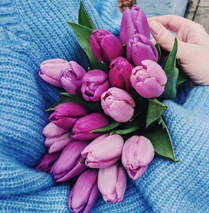 💙🍃 bntpal.com_152372848