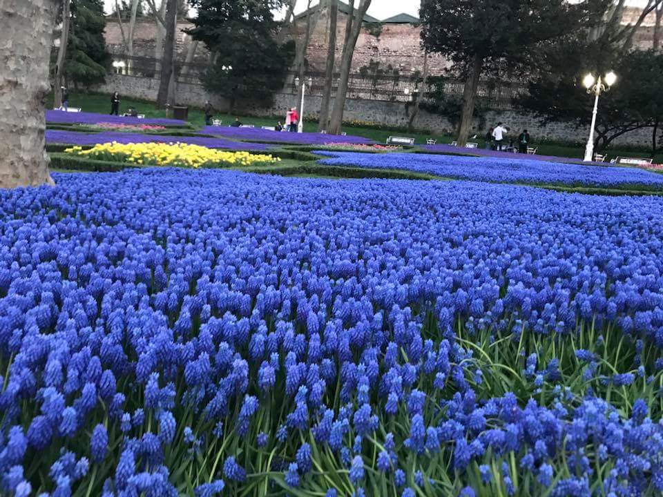 💙🍃 bntpal.com_152372848