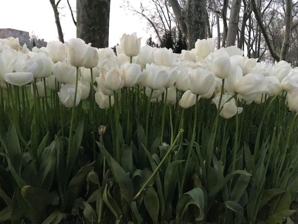 💙🍃 bntpal.com_152372848