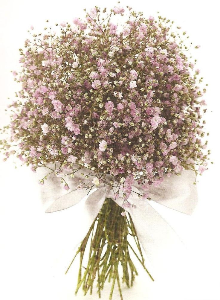 ���� ���� ������ �� ���� ������