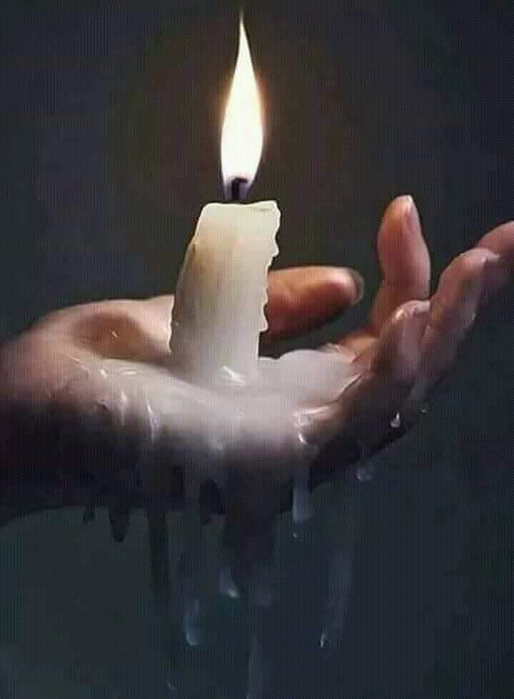 bntpal.com_152464252
