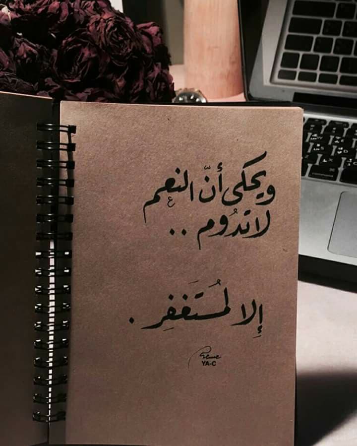 bntpal.com_152482664