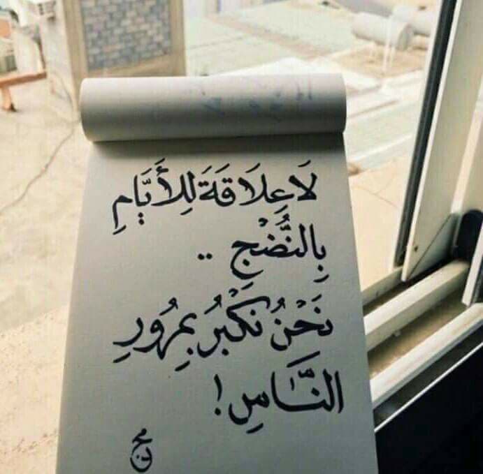 bntpal.com_152482664