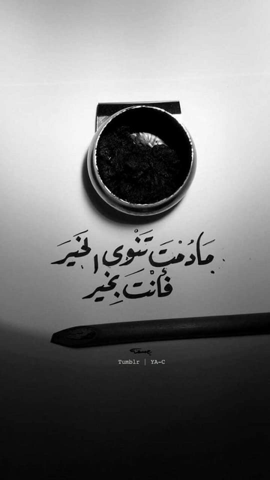 bntpal.com_152482665