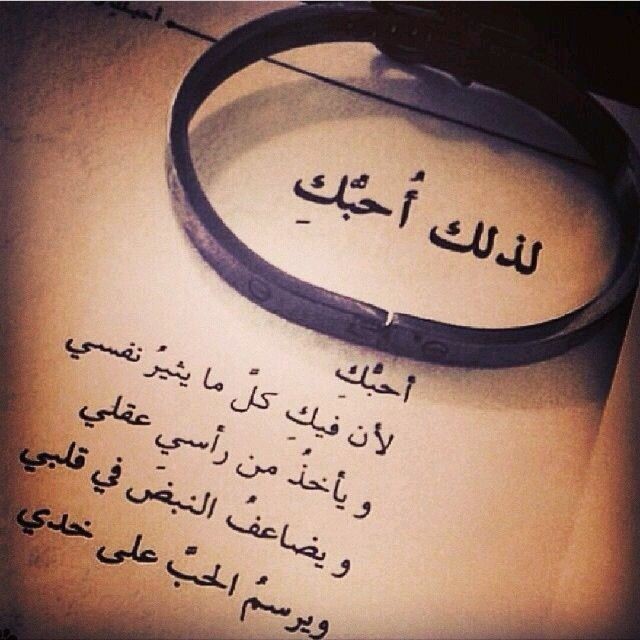 ���� ���� ������ �� ���� ������