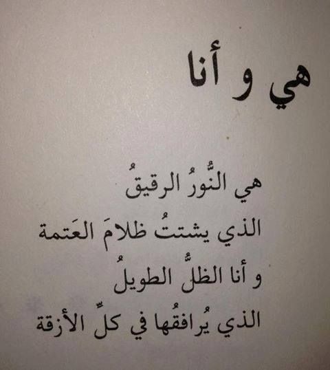 ���� ���� ������ �� ���� ������