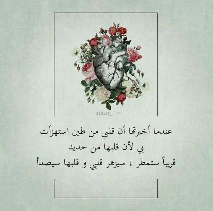 ���� ���� ������ �� ���� ������