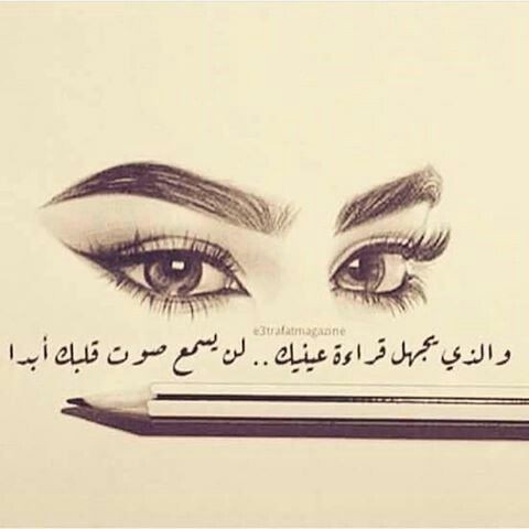 ���� ���� ������ �� ���� ������