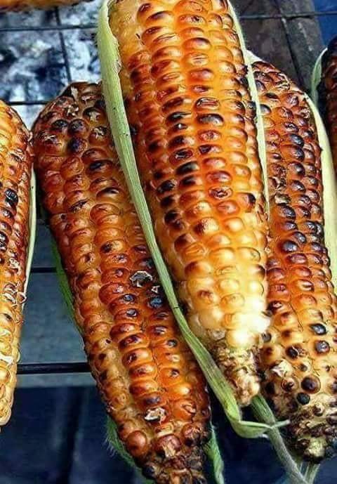 ❤ bntpal.com_152560768