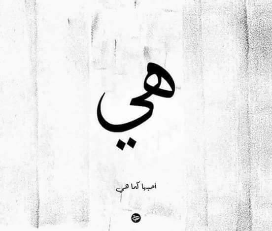 ❤ bntpal.com_152560823