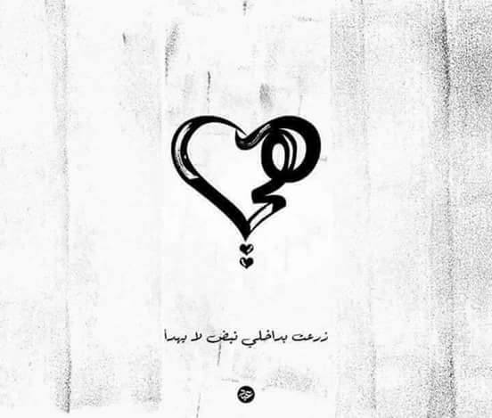 ❤ bntpal.com_152560823