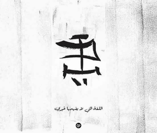 ❤ bntpal.com_152560823