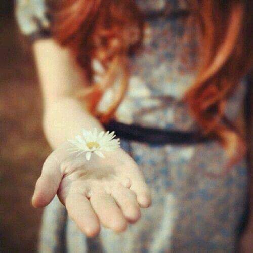  , 🦋 bntpal.com_152588488