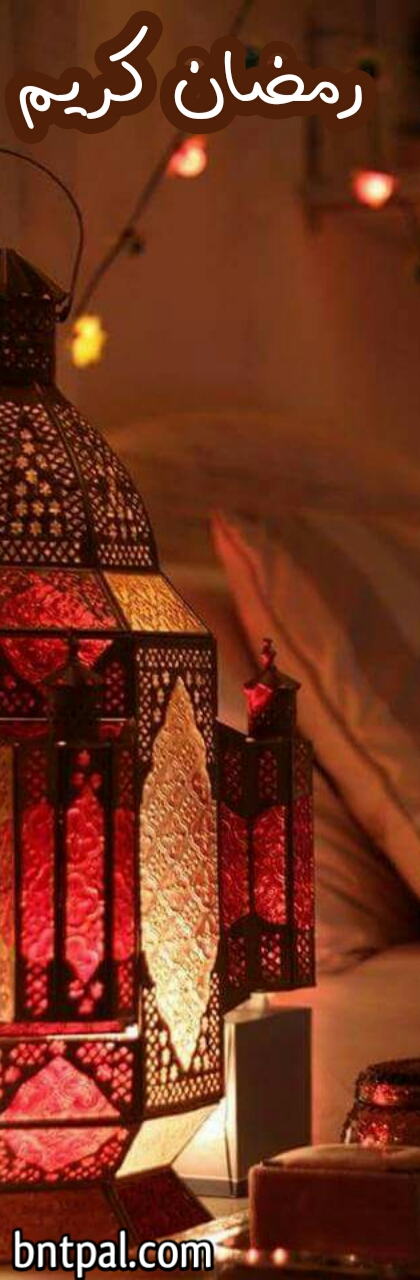  ♥🌜 bntpal.com_152604349