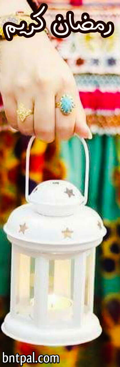  ♥🌜 bntpal.com_152604349