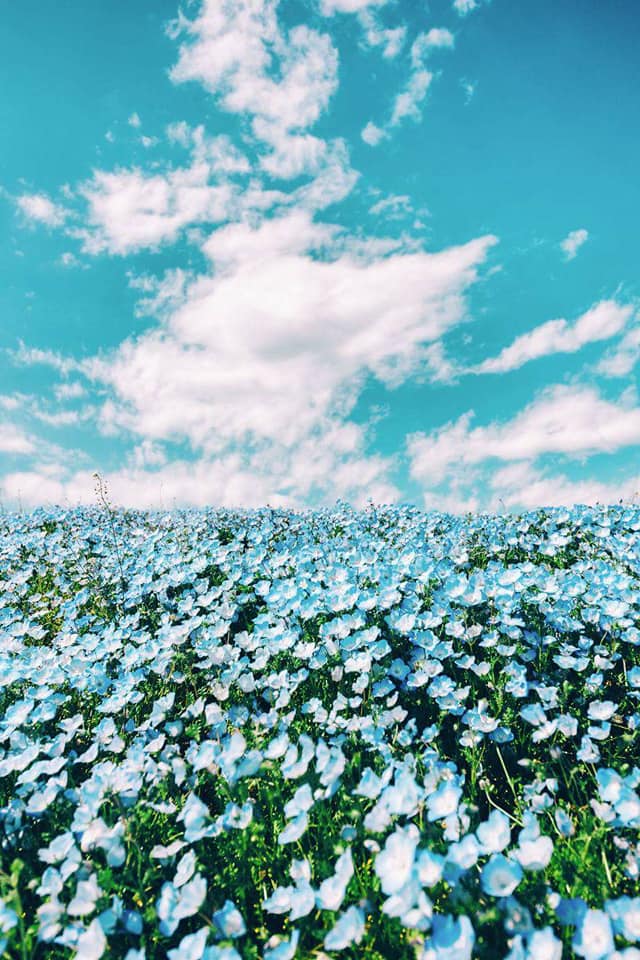 ♥ bntpal.com_152605837