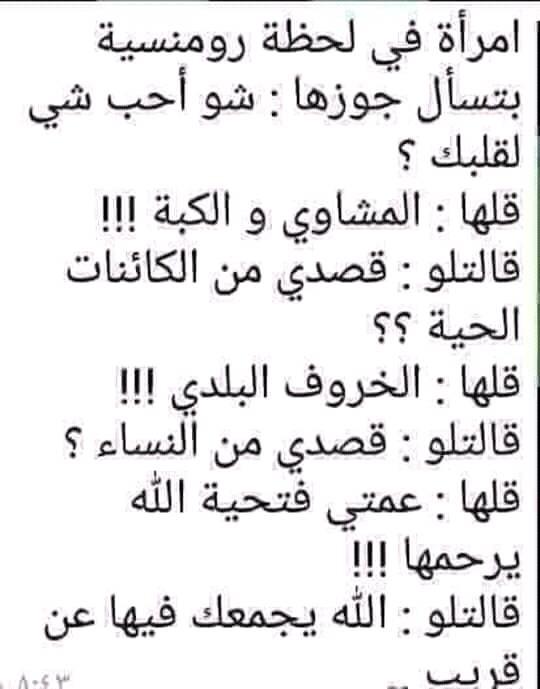 bntpal.com_152615839