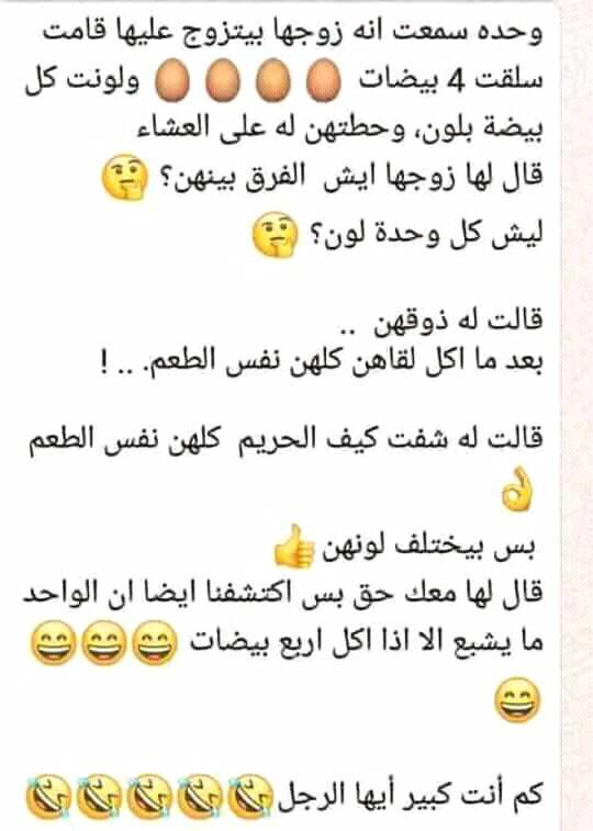 bntpal.com_152615839