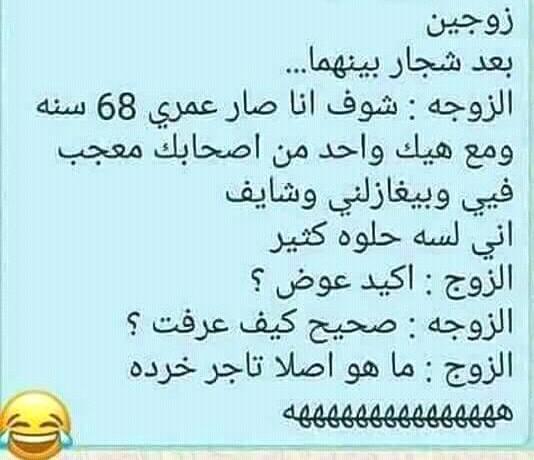 bntpal.com_152615839