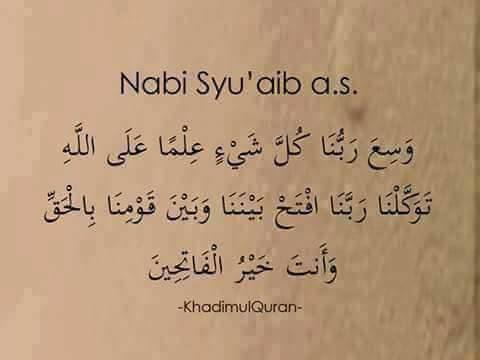 ♥ bntpal.com_152658659