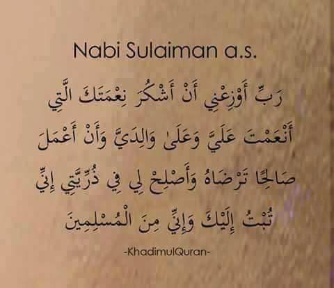 ♥ bntpal.com_152658659