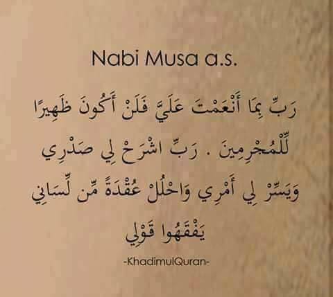 ♥ bntpal.com_152658659