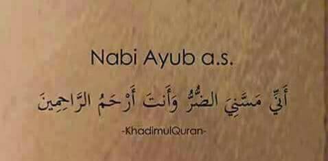 ♥ bntpal.com_152658659
