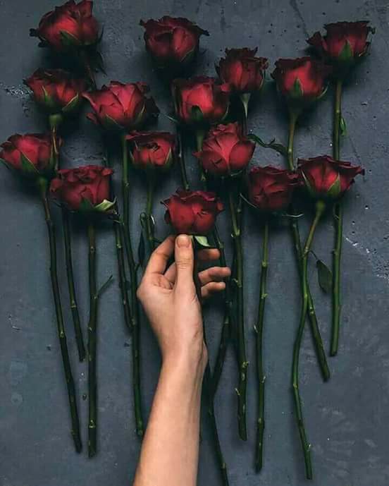 ♥ , bntpal.com_152658694