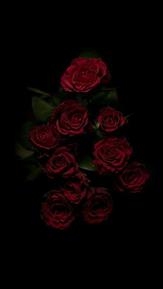 ♥ , bntpal.com_152658694