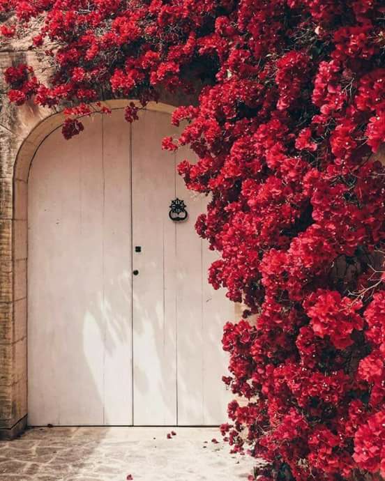 ♥ , bntpal.com_152658694