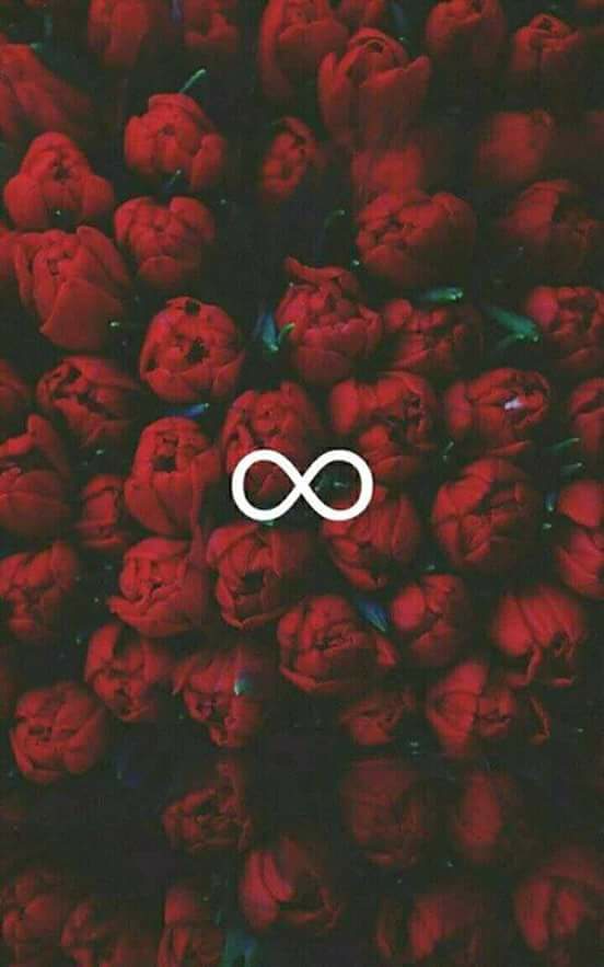 ♥ , bntpal.com_152658694