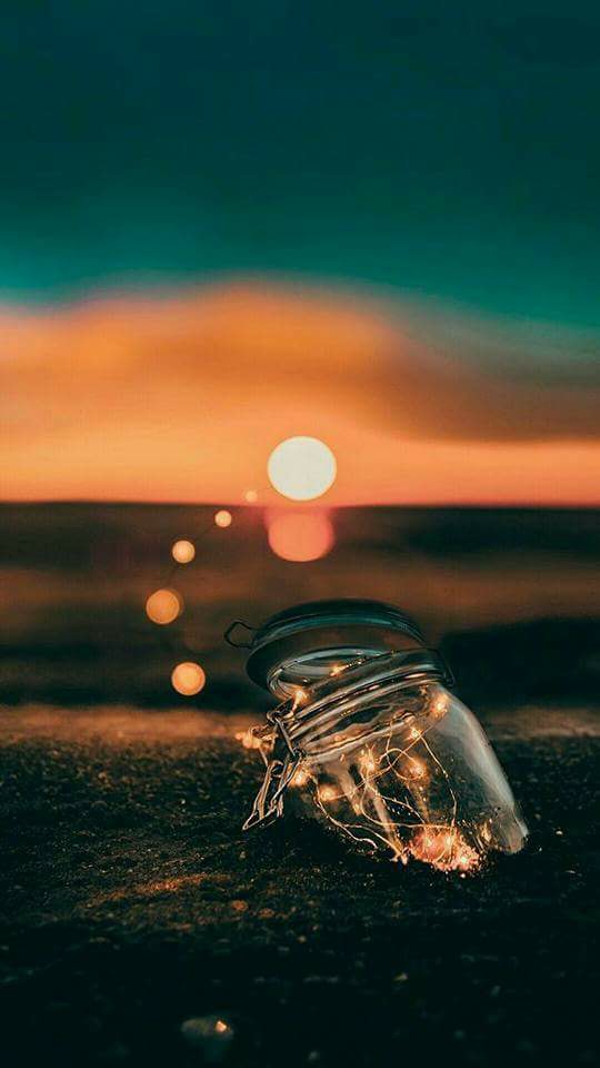 ♥ bntpal.com_152680770
