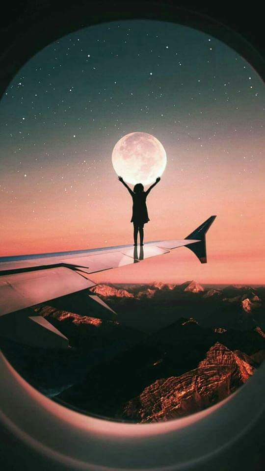 ♥ bntpal.com_152680770