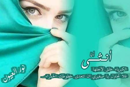 bntpal.com_152685204