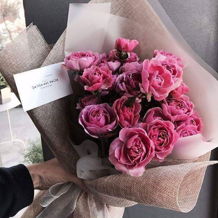 💜 bntpal.com_152690490