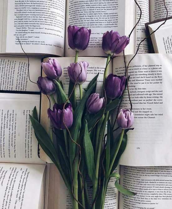 💜 bntpal.com_152690490