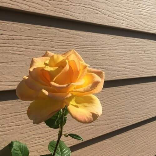 💜 bntpal.com_152690490