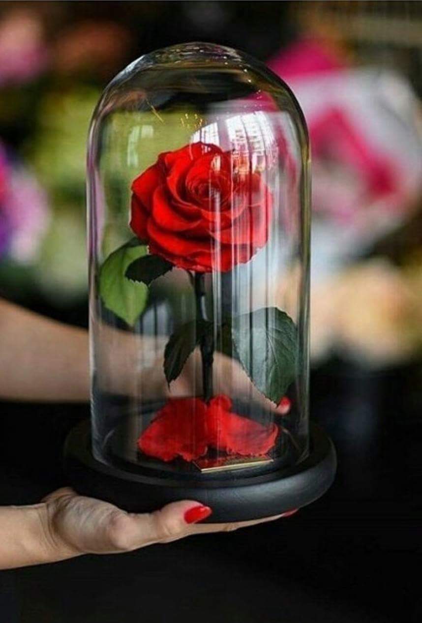 💜 bntpal.com_152690490