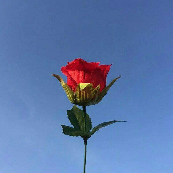 💜 bntpal.com_152690490