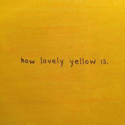 💛🌼 bntpal.com_152706098