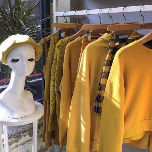 💛🌼 bntpal.com_152706098