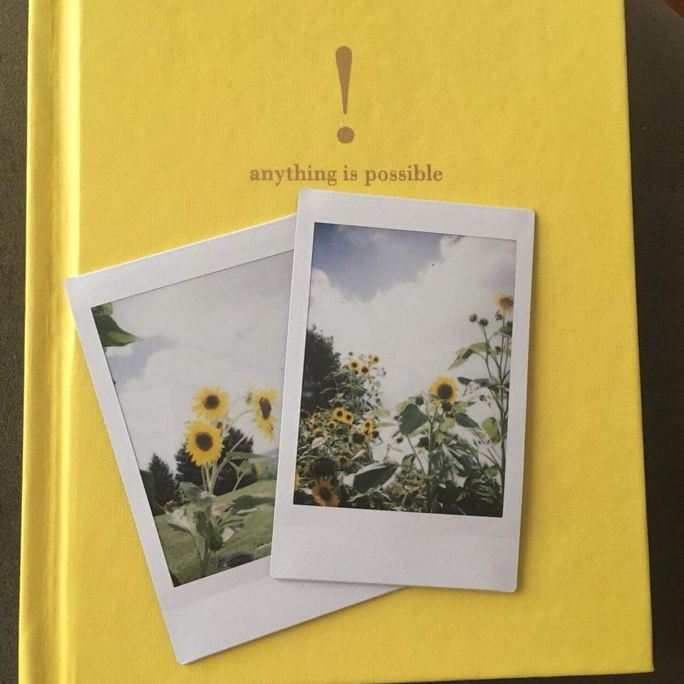 💛🌼 bntpal.com_152706098