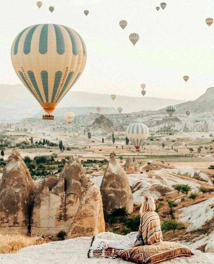 ♥ bntpal.com_152724952