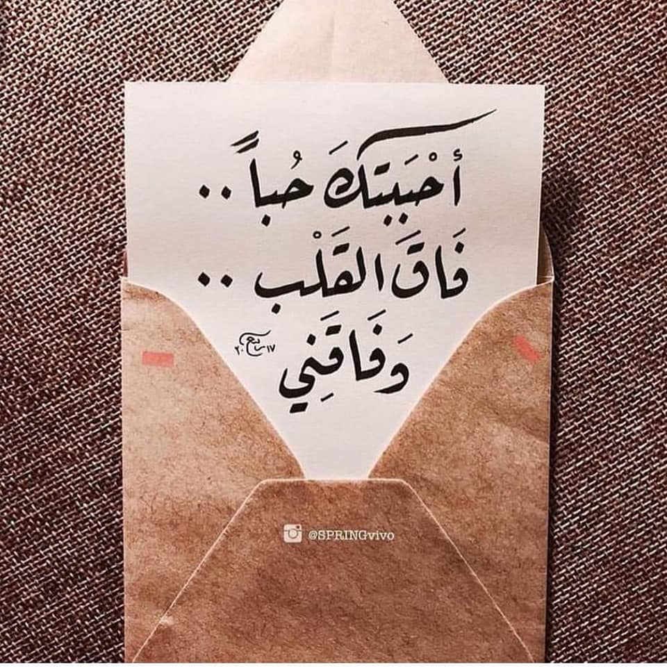 ♥ bntpal.com_152724993