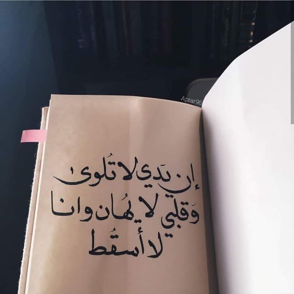 ♥ bntpal.com_152724993