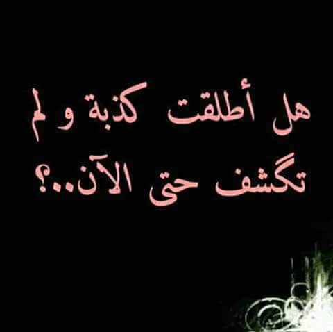 bntpal.com_152730845